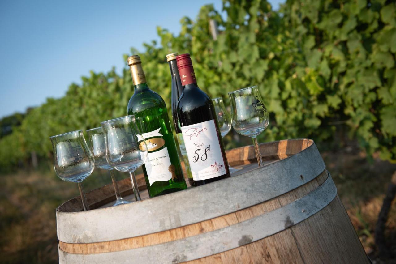 Отель Weinschloesschen Im Weingut Roos Ilbesheim Экстерьер фото